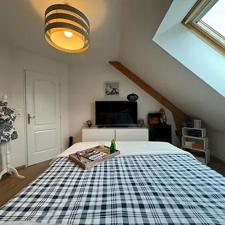 Le Nid Des Pilotes - Circuit Bugatti - Piscine - 4pers