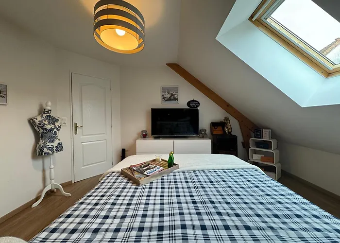 Le Nid Des Pilotes - Circuit Bugatti - Piscine - 4pers